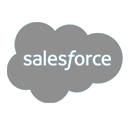 Saleforce icone